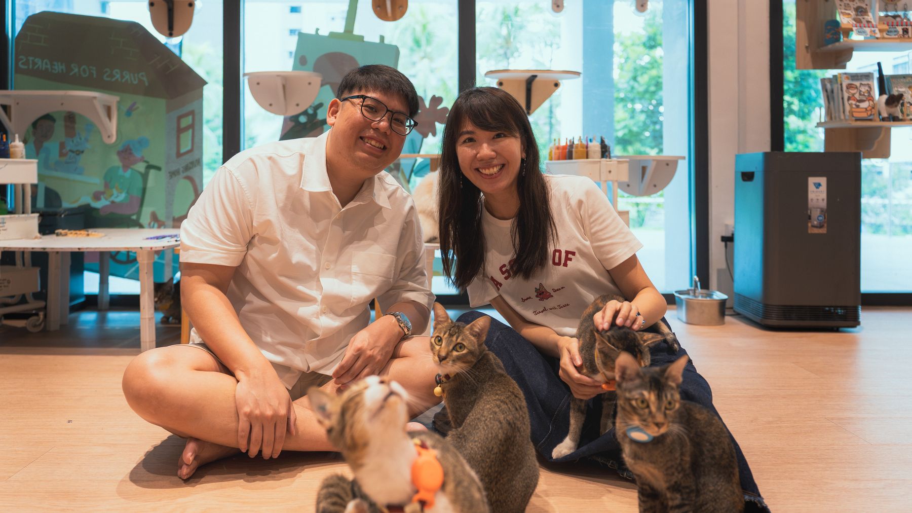 Couple seated with cats at a cat café